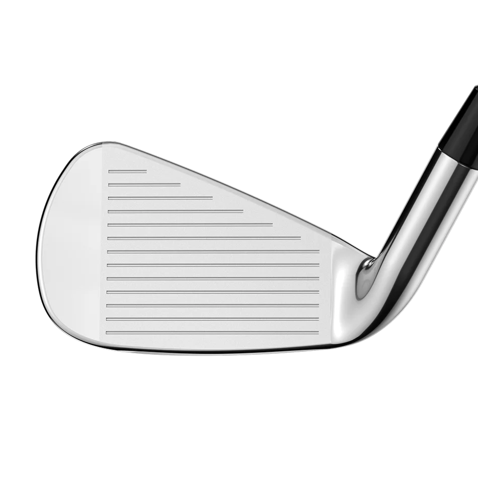 L.A.B. Golf VZN.1i カスタムカラー参考画像 3